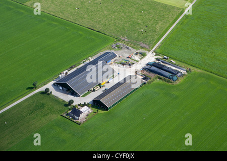 Niederlande, Appingedam, Bauernhof und Ackerland. Luft. Stockfoto