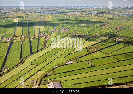 Die Niederlande, Zegveld, Polder, genannt Zegvelderbroek. Landwirtschaftliche Betriebe. Luft. Stockfoto