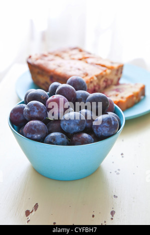 Frisch gepflückten Pflaumen und hausgemachte deutsche Pflaumenkuchen auf einem hölzernen Hintergrund. Stockfoto