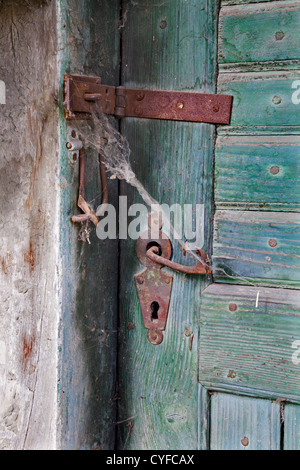 Detail von der alten Tür und Spinnennetz Stockfoto