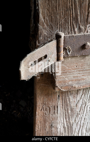 Detail von der alten Tür Stockfoto