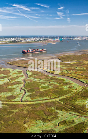 Den Niederlanden, Nieuw Namen Container Boot in Westerschelde Fluss. Industriegebiet von Antwerpen (Belgien) und Gezeiten Marschland. Stockfoto