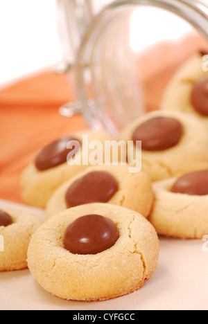 Köstliche Shortbread und Schokoladen-Plätzchen Stockfoto