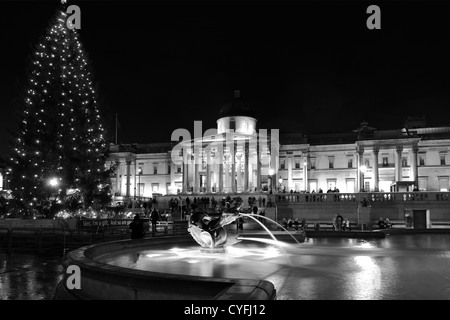 Weihnachtsbaum-Beleuchtung, Wasserspiele bei Nacht, National Gallery, Trafalgar Square, City Of Westminster, England, London Stockfoto