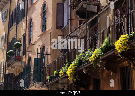 Alte Bürgerhäuser an der Piazza Delle Erbe in Verona, Veneto, Italien Stockfoto