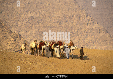 Ägypten, Gizeh bei Kairo, Kameltreiber vor Pyramiden. Stockfoto