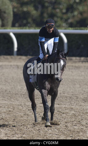 3. November 2012 gewinnt - Arcadia, Kalifornien, USA - Mike Smith am Mizdirection bei der Breeders' Cup Turt Sprint im Santa Anita Park am 3. November 2012 in Arcadia, Kalifornien... ARMANDO ARORIZO/PI (Kredit-Bild: © Armando Arorizo/Pi/Prensa Internacional/ZUMAPRESS.com) Stockfoto