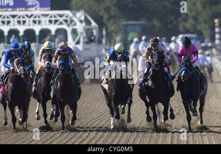 3. November 2012 - Arcadia, Kalifornien, USA - Jockey Rosie Napravnik auf Shanghai Bobby (C) gewinnt bei der Breeders' Cup Juvenille im Santa Anita Park am 3. November 2012 in Arkadien, California.ARMANDO ARORIZO/PI (Credit-Bild: © Armando Arorizo/Pi/Prensa Internacional/ZUMAPRESS.com) Stockfoto