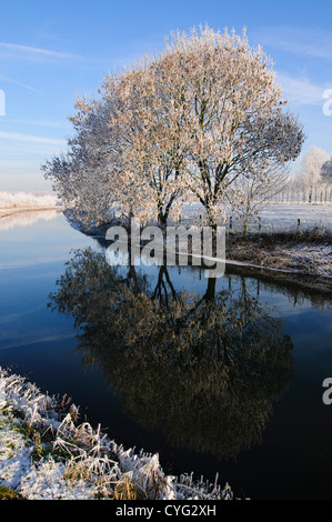 Bäume mit Raureif Reflexion im Wasser eines Kanals an einem klaren Wintertag Stockfoto