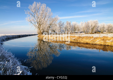 Bäume mit Raureif Reflexion im Wasser eines Kanals an einem klaren Wintertag Stockfoto