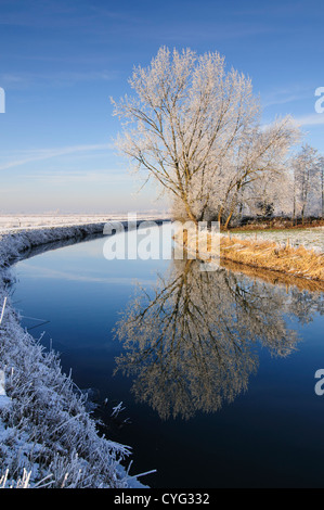 Bäume mit Raureif Reflexion im Wasser eines Kanals an einem klaren Wintertag Stockfoto