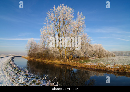 Bäume mit Raureif Reflexion im Wasser eines Kanals an einem klaren Wintertag Stockfoto