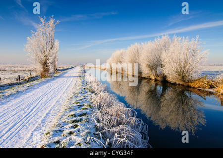 Weide Bäume mit Raureif Reflexion im Wasser eines Kanals an einem klaren Wintertag. Entlang des Kanals ist ein Radweg mit Spuren im Schnee. Stockfoto