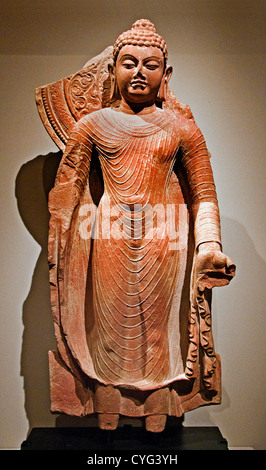 Stehende Buddha bietet Schutz Gupta 5. Jahrhundert Indien Uttar Pradesh Mathura roten Sandstein 85 cm Stockfoto