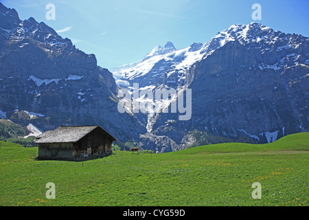 Schweiz, Kanton Bern, Berner Oberland, Grindelwald Stockfoto