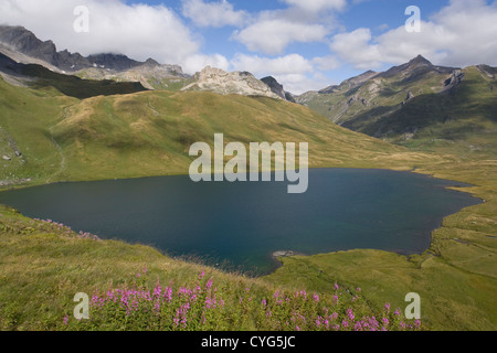 Frankreich: Lac du Chevril in der Nähe von Tignes Stockfoto