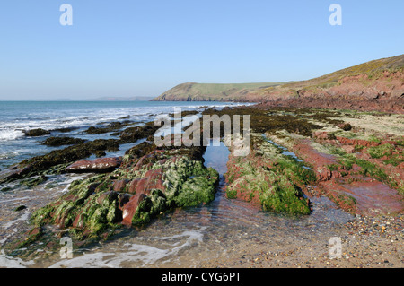 Manorbier Strand Pembrokeshire Coast National Park Wales Cymru uK GB Stockfoto