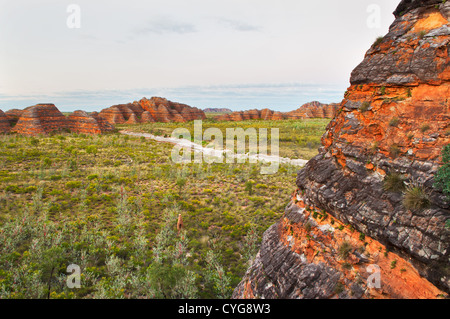 Bienenstockkuppen im zum Weltnaturerbe gehörenden Purnululu National Park. Stockfoto