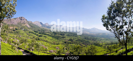 Horizontale (2 Bild Heftung) Panoramablick auf die atemberaubende Landschaft der Tee-Plantage in den Bergen von Idukki Bezirk, Indien Stockfoto