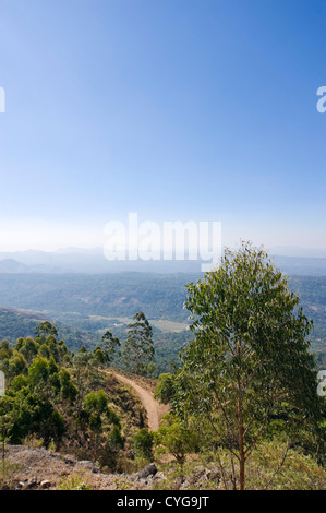 Senkrechten Blick auf die atemberaubende Landschaft hoch oben in den Hügeln zwischen Munnar und Mattupetty an einem klaren sonnigen Tag. Stockfoto