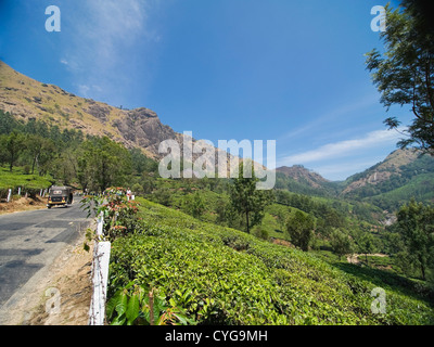 Horizontalen Blick auf die atemberaubende Landschaft der Teeplantagen in der Nähe von Munnar, Kerala. Stockfoto