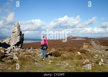 Wanderer, Wandern auf den Stiperstones Hügeln, Shropshire UK Stockfoto