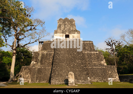 Maya-Tempel des Jaguars in Tikal in Guatemala, unweit der Grenze zu Belize Stockfoto