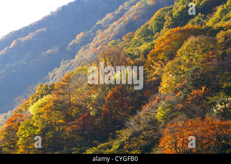 Nishizawa Tal, Präfektur Yamanashi Stockfoto