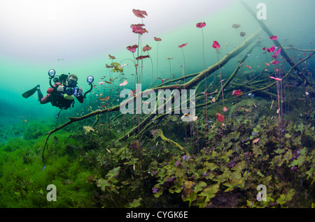 Cenote Carwash, Tulum (Playa del Carmen), Yucatan, Mexiko Stockfoto