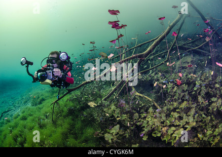 Cenote Carwash, Tulum (Playa del Carmen), Yucatan, Mexiko Stockfoto