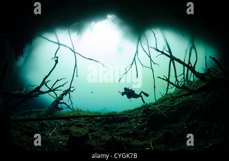 Cenote Carwash, Tulum (Playa del Carmen), Yucatan, Mexiko Stockfoto