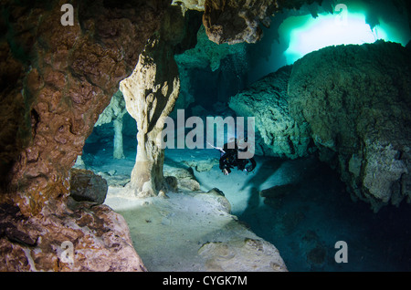 Cenote Carwash, Tulum (Playa del Carmen), Yucatan, Mexiko Stockfoto