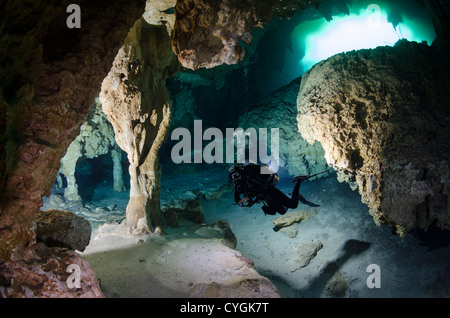 Cenote Carwash, Tulum (Playa del Carmen), Yucatan, Mexiko Stockfoto