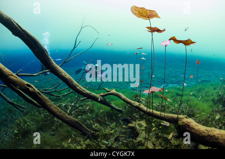 Cenote Carwash, Tulum (Playa del Carmen), Yucatan, Mexiko Stockfoto