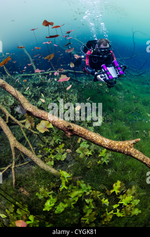 Cenote Carwash, Tulum (Playa del Carmen), Yucatan, Mexiko Stockfoto