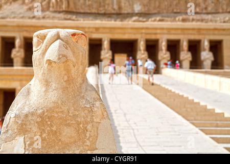 Horus. Tempel der Hatschepsut. Luxor, Ägypten Stockfoto