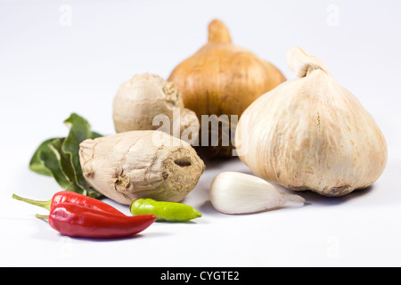 Eine Auswahl von frischen und getrockneten Kräuter und Gewürze vor einem weißen Hintergrund. Stockfoto