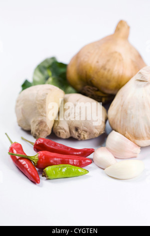 Eine Auswahl von frischen und getrockneten Kräuter und Gewürze vor einem weißen Hintergrund. Stockfoto