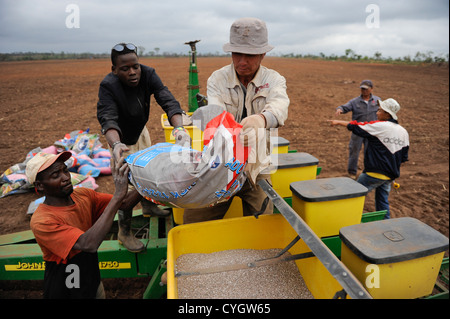 Afrika Angola, Malanje, Angola Malange, PAC Pòlo Agro-de Capanda, Black Stone Farm, eine 20.000 Hektar große Farm der chinesischen Investor CITIC und angolian Agentur GESTERRA, Aussaat mit Traktor und Maschine Aussaat Mais, Dünger NPK Stickstoffeintrag, Chinesische und angolian Arbeitnehmer Stockfoto