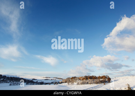 Winter-Blick nach Westen über Sleddale, einem beliebten Vogelbeobachtung vor Ort in den North York Moors National Park Stockfoto