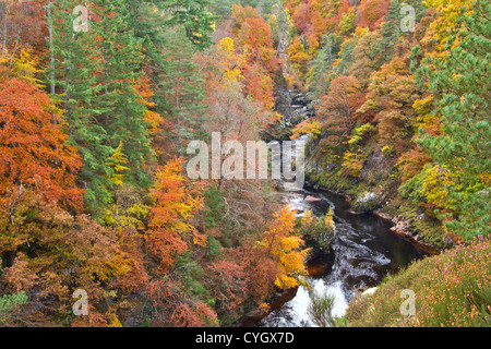 Herbst Bäume säumen die steilen Schlucht des Flusses Findhorn in Schottland IM NOVEMBER Stockfoto