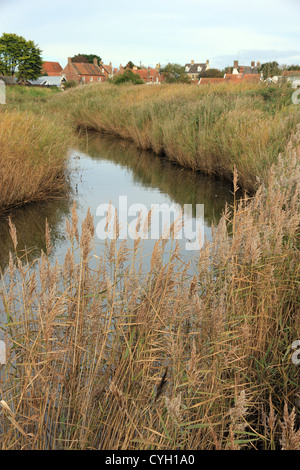 Schilfgürtel am Rand der Dingle Sümpfe und Walberswick Dorf Suffolk England UK. die Aussicht vom berühmten Krebse Brücke. Stockfoto