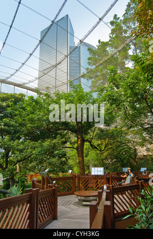 Die Edward Youde Voliere, Hong Kong Park Stockfoto