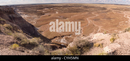 Ein Panorama-Bild des Bereichs Blue Mesa des versteinerten National Park im Bundesstaat Arizona, USA. Stockfoto