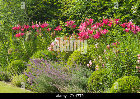 gestutzte Buchsbaum-Kugeln, Rosen, Lilien und Nepeta, Frankreich, Festival des Jardins de Chaumont-Sur-Loire Stockfoto