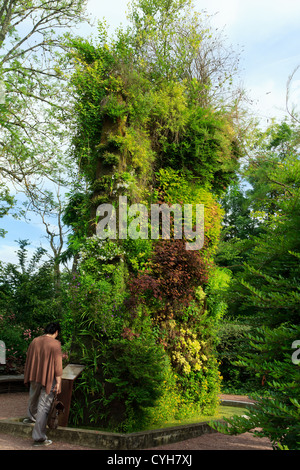 Frankreich, Festival des Jardins de Chaumont-Sur-Loire, grüne Wand von Patrick Blanc. (für Presse und Buch nur verwenden) Stockfoto