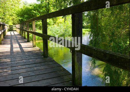 Fußgängerbrücke über den Fluss Test, eine weltweit renommierte Kreide Stream bei Wherwell, Hampshire, England, UK Stockfoto