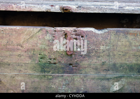 Alte rostige retro Grunge Brust wie Schatzkiste öffnen Closeup. Stockfoto