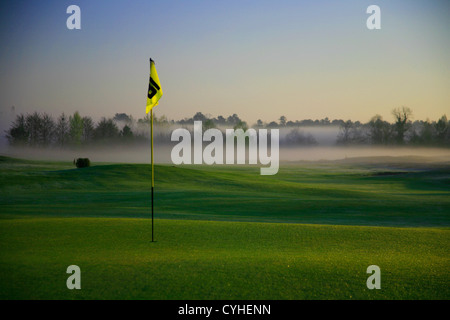 Golf-Fähnchen auf grün im frühen Morgennebel und Nebel Stockfoto