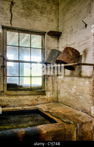 Milch, verblasst im Melkstand Raum einer Scheune. Stockfoto